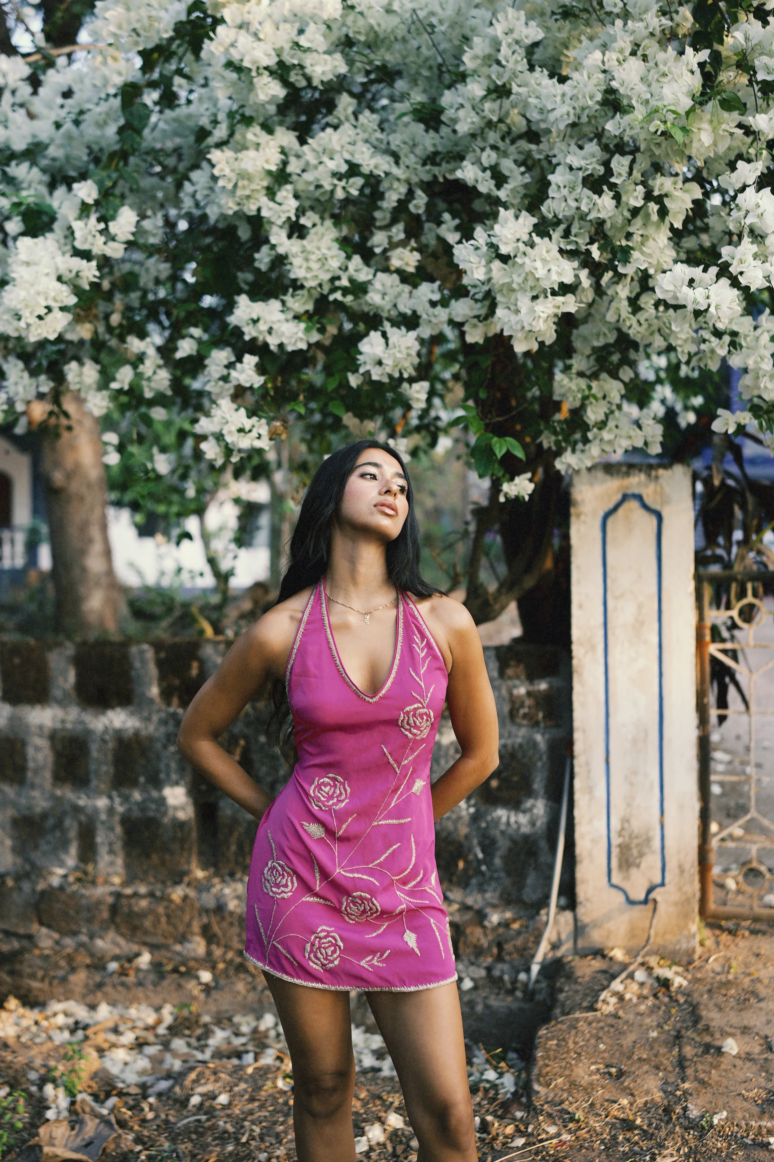 Francie Dress - Image 3